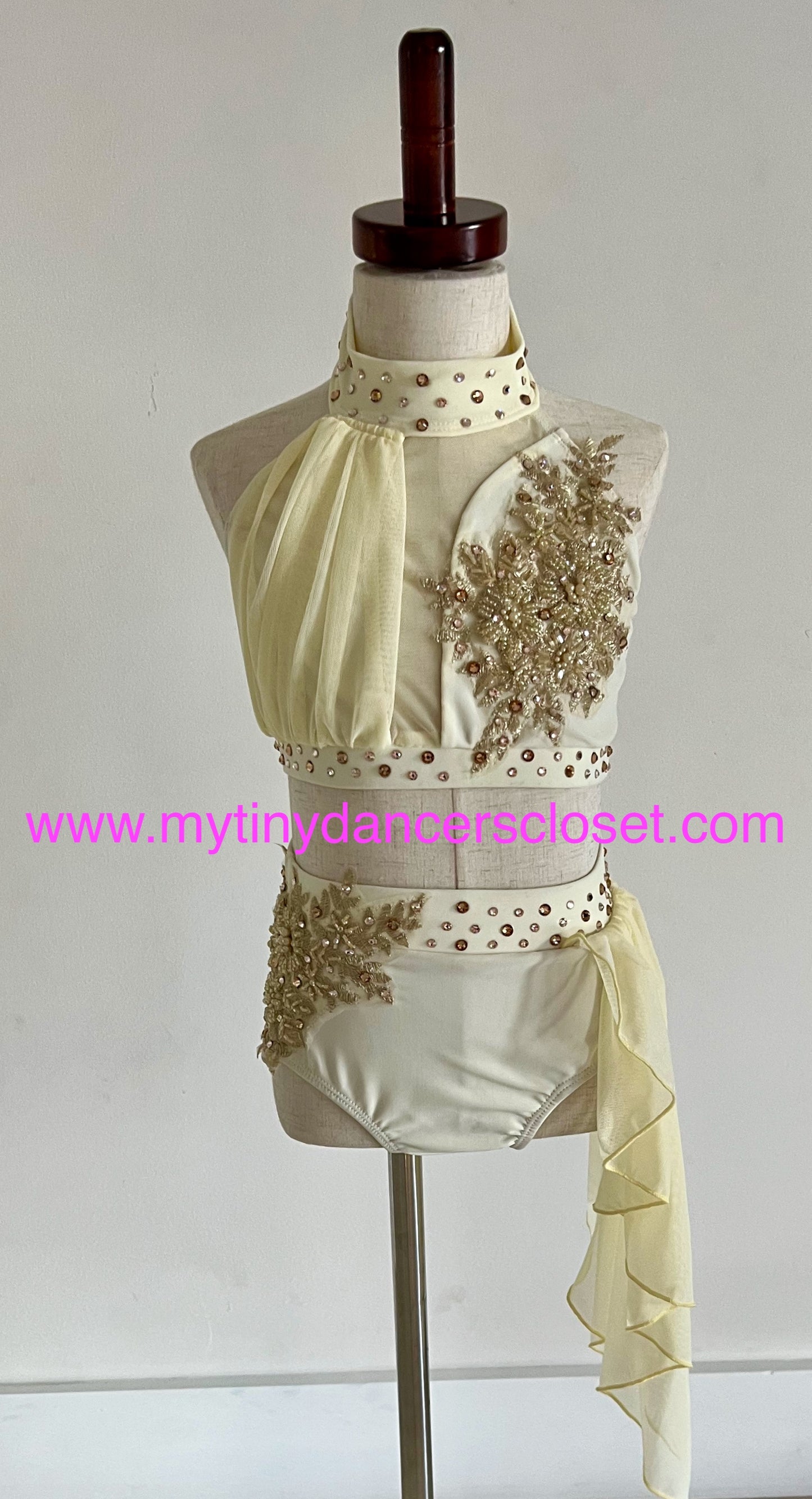 Cream& Gold 2 Piece Beautiful Costume - Adult Small