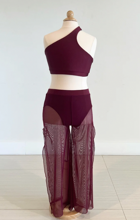 Adult XS - Maroon burgundy mesh pants and top costume