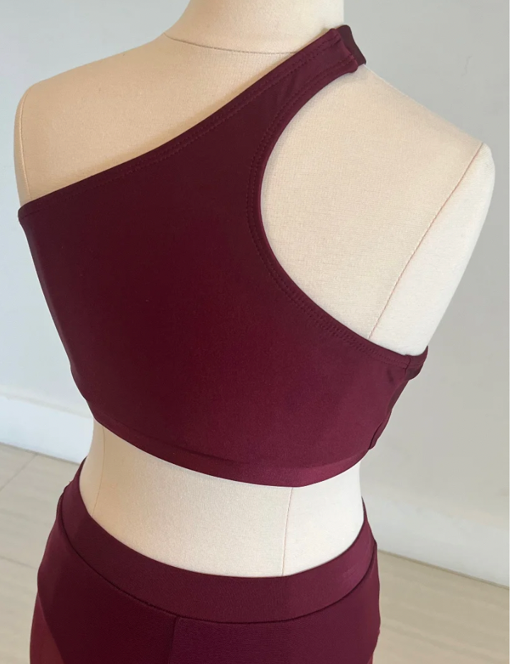 Adult XS - Maroon burgundy mesh pants and top costume