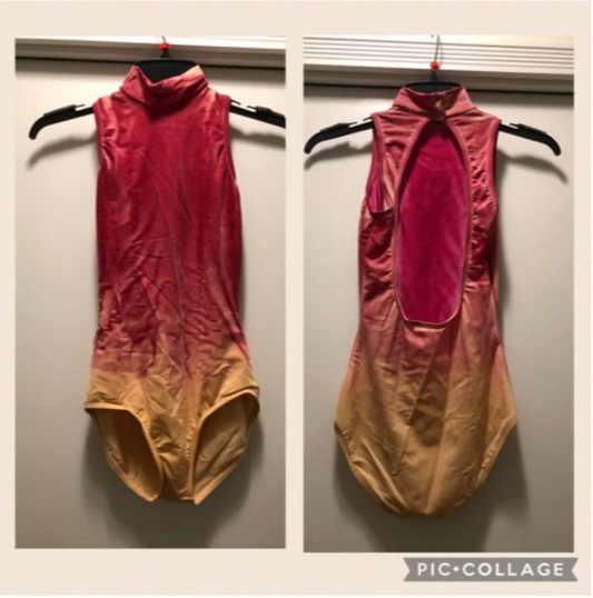 Adult Small - Ombre Leotard