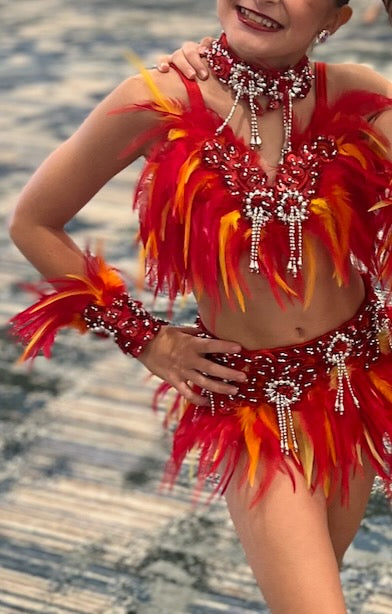 Red top and skirt feather costume - Child Small/Medium